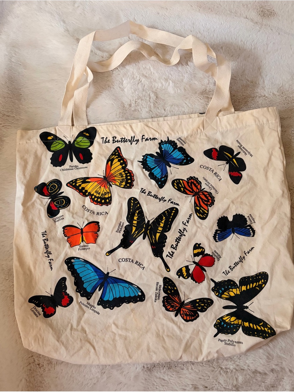 The Butterfly Farm Costa Rica Butterfly Canvas Tote Bag Colorful Nature